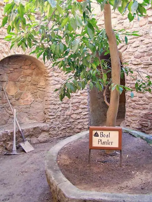 Limon ağacı ile birlikte Kayık Saksı. Fotoğraf: Forestiere Yeraltı Bahçesi 