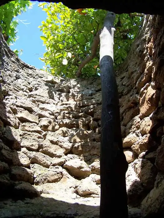 Işığa doğru yetişen yeraltı ağacı.Fotoğraf: Forestiere Yeraltı Bahçeleri