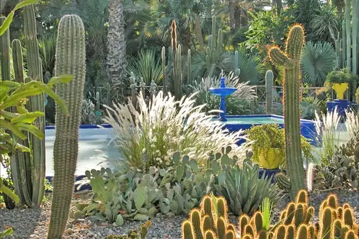 Majorelle Bahçesi, Marakeş, Fas. Fotoğraf: Jean-Pierre Dalbéra