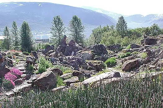 Kaya peyzajından bir bölüm. Fotoğraf: Arve Elvebakk/Norveç Arktik Üniversitesi