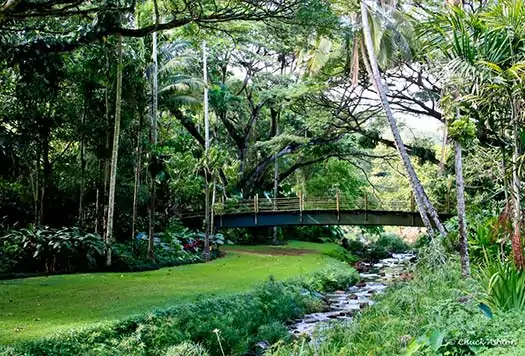 Chuck Ashton müthiş fotoğrafı / Hanalei Bay Resort