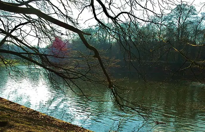 Belçika, Brüksel’deki Bois de Cambre şehir parkında manzaralı bir yürüyüşe çık. 