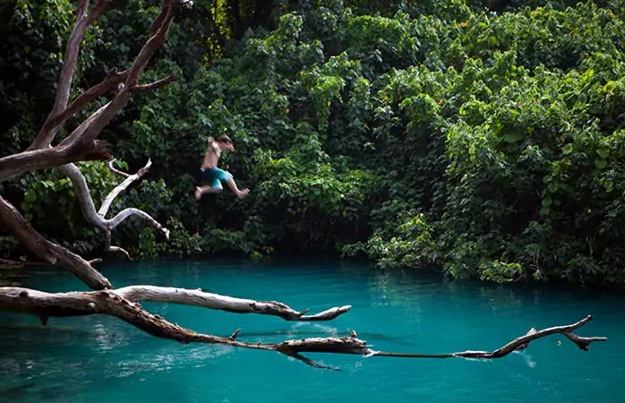 orman tatili- 9-Efate-Epi-Adalari-yagmur-ormani-Vanuatu-tatilleri