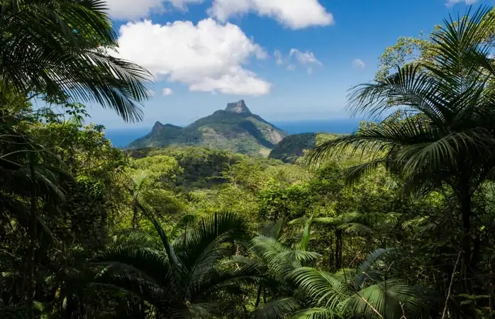 floresta-da-tijuca-rio-de-janeiro-hakkında-gerçekler-rio-de-janeiroda-yapılabilecek-şeyler