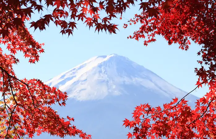 Sonbahar tatil yerleri- Sonbahar yapraklarıyla çevrili Fuji Dağı © Skyseeker