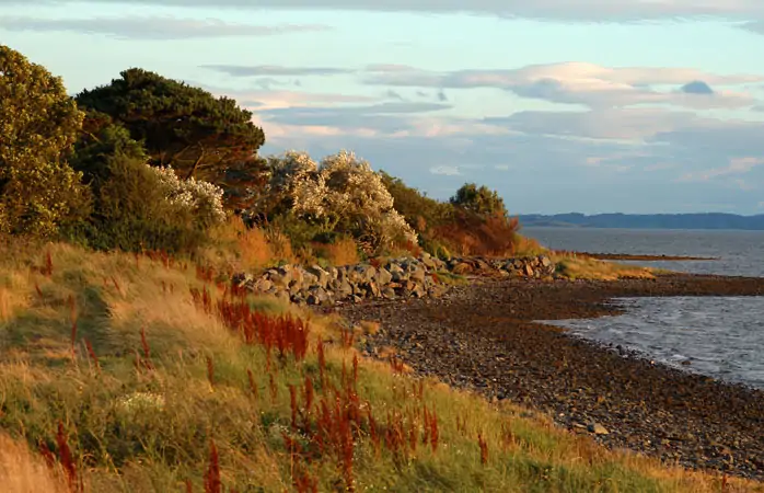 Sonbahar tatil yerleri- Strangford Lough kıyılarında sonbaharın taze havasıyla kendine geleceksin