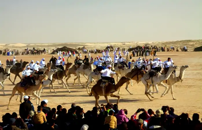 Noel tatili- Camel-racing in the desert 