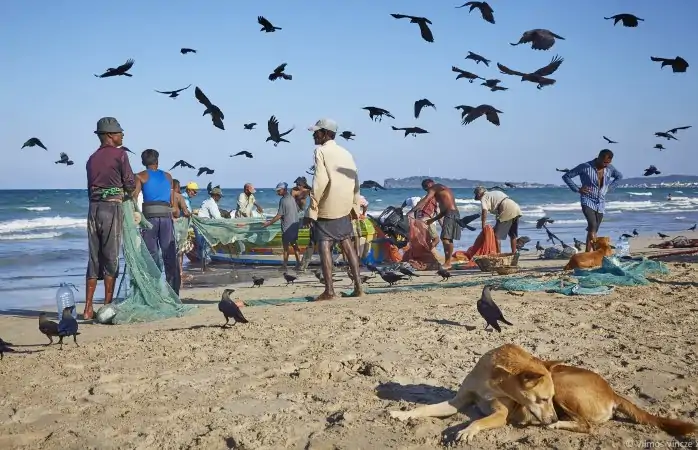 Vizesiz Asya ülkeleri- Sri Lanka