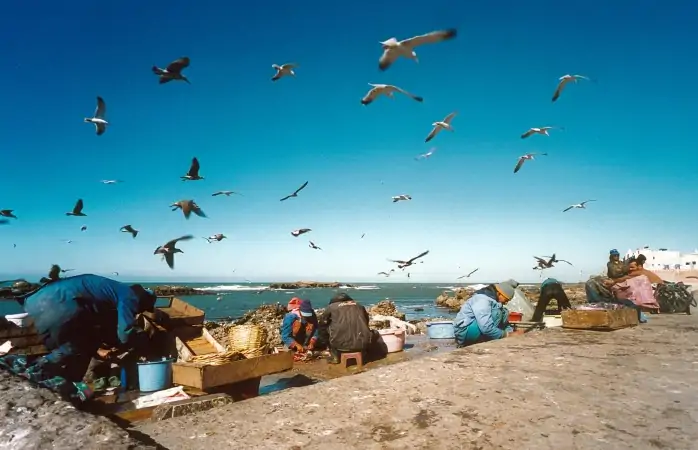 Afrika gezisi- morocco, fas