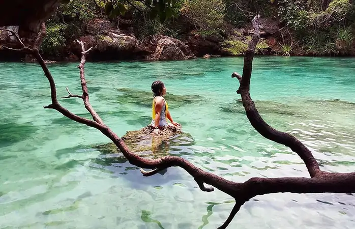 Kenara çekil Bali, Sumba Adası geldi