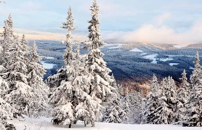 Avrupa kayak merkezleri- Trysil’in karlı tepelerine bir bakış; Norveç’in biraz pahalı ama buna değen bir kayak merkezi. 