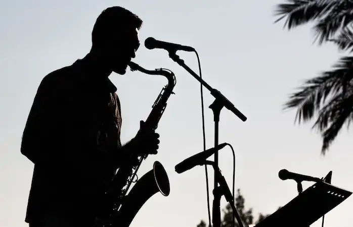 2019 Türkiye Festivalleri